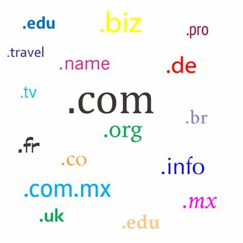 什么是域名？域名（英文名字叫做domain name），也叫做网域